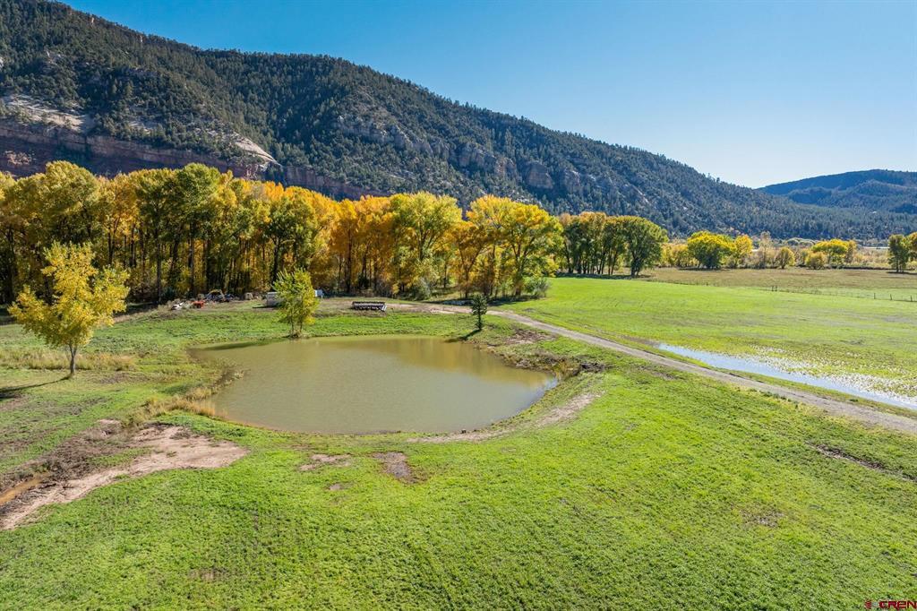 26068 Highway 550 Property Photo 14