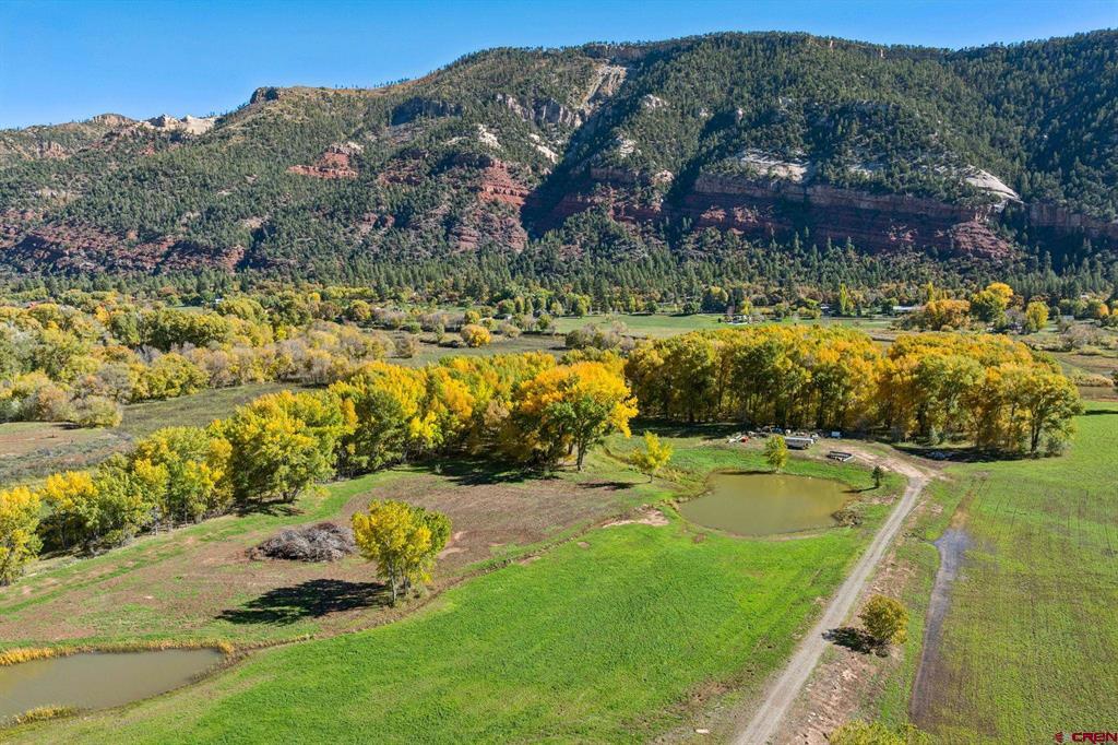 26068 Highway 550 Property Photo 16