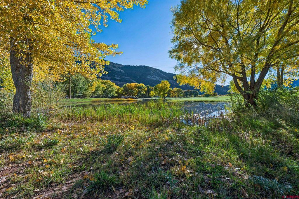 26068 Highway 550 Property Photo 19