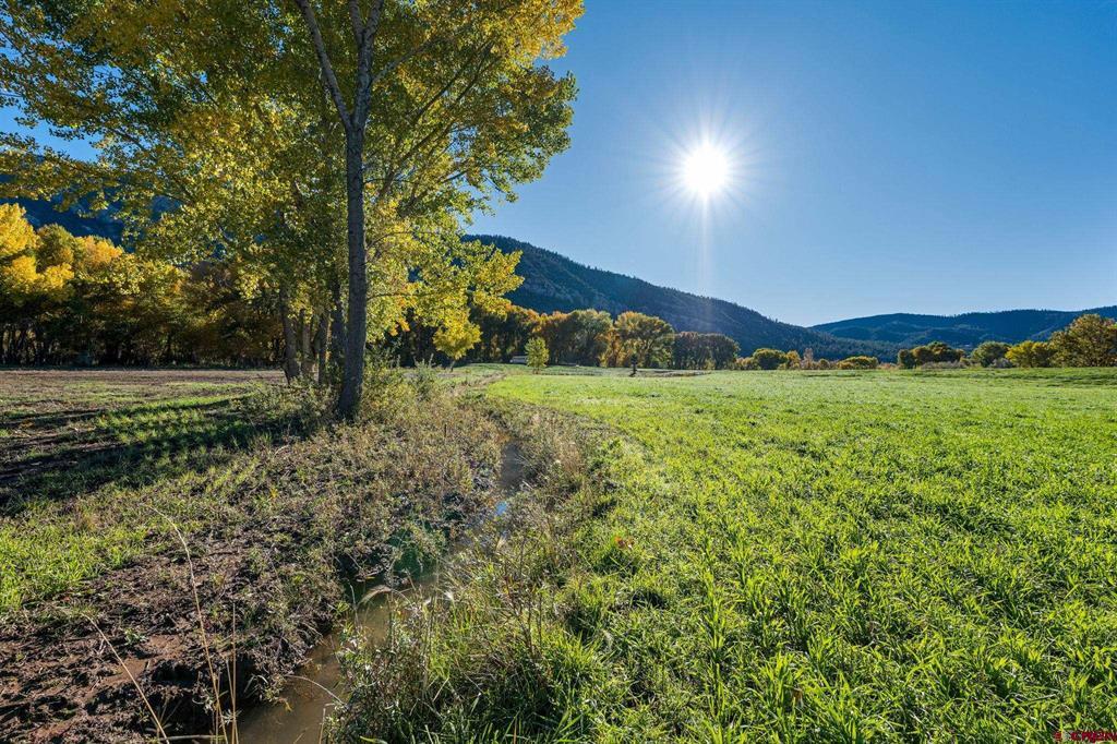 26068 Highway 550 Property Photo 21