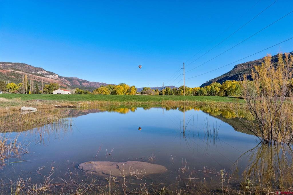 26068 Highway 550 Property Photo 24
