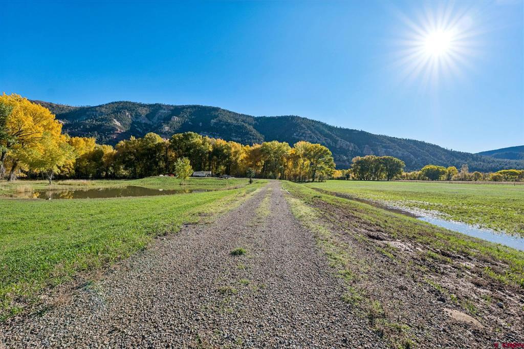 26068 Highway 550 Property Photo 26