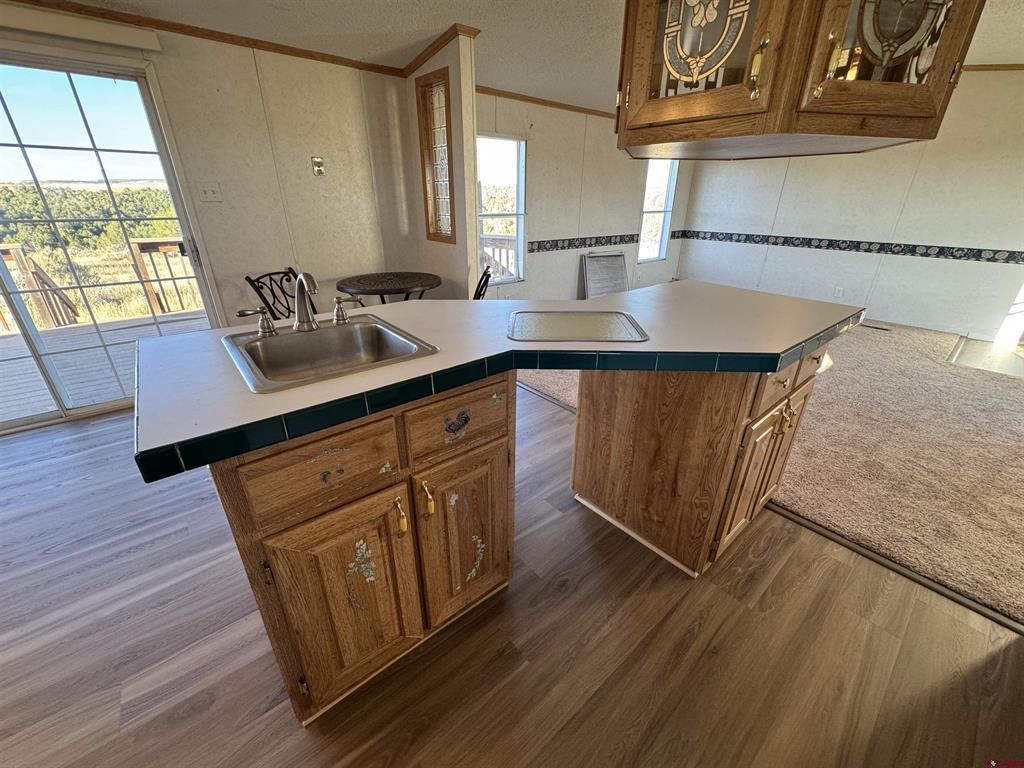 52790 Hwy 491 Property Photo 10