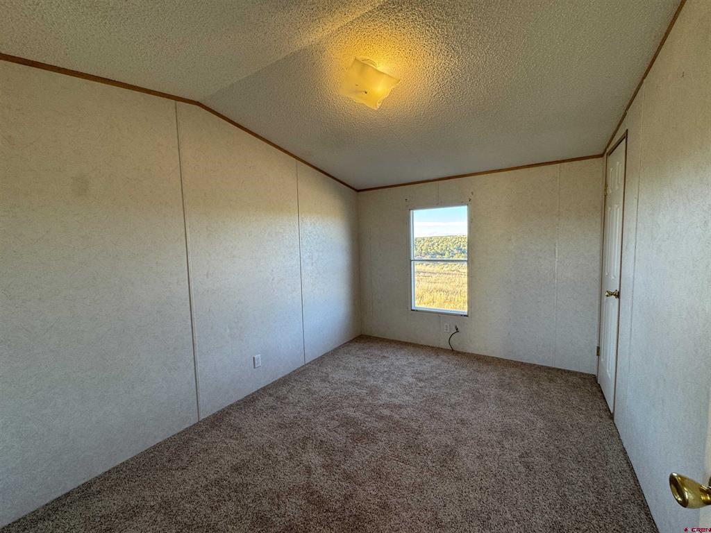 52790 Hwy 491 Property Photo 19