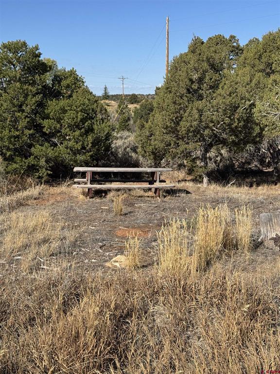 52790 Hwy 491 Property Photo 25
