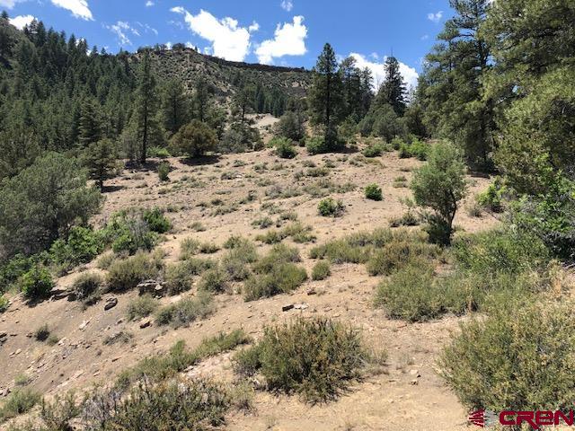 29736 State Hwy 151 Property Photo 3