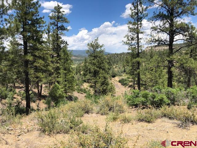 29736 State Hwy 151 Property Photo 4