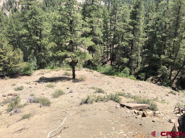 29736 State Hwy 151 Property Photo 6