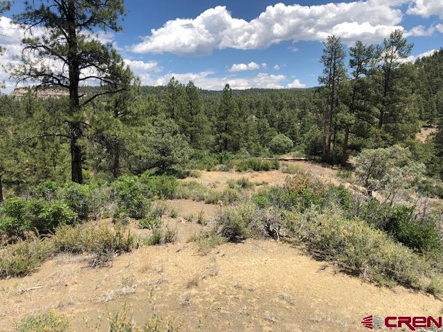 29736 State Hwy 151 Property Photo 7