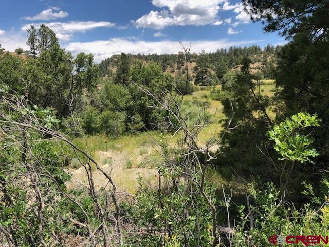 29736 State Hwy 151 Property Photo 14