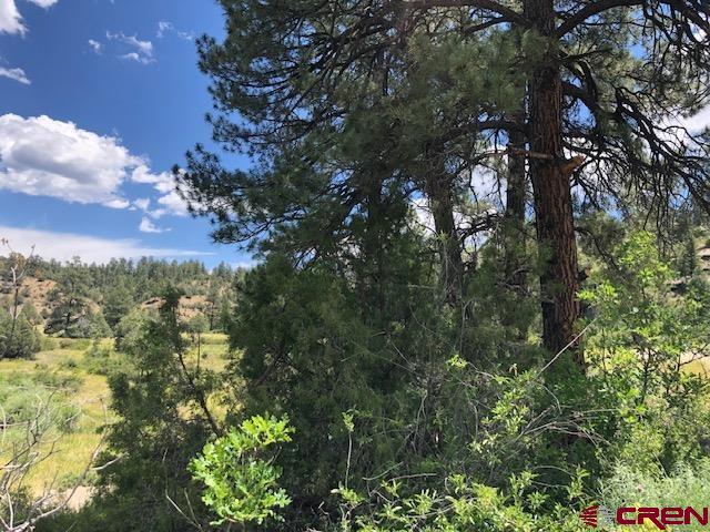 29736 State Hwy 151 Property Photo 15