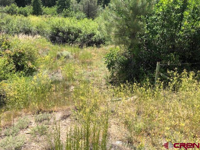 29736 State Hwy 151 Property Photo 16