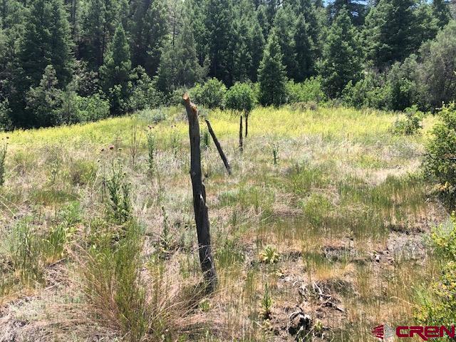 29736 State Hwy 151 Property Photo 17