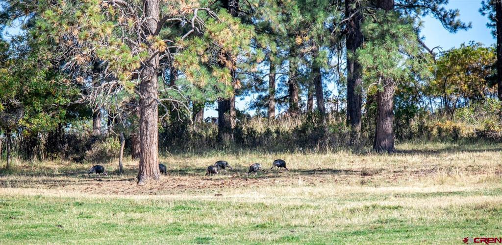 43393 Road M Property Photo 6