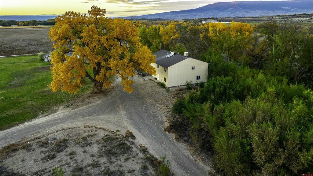 17377 Breeze Road Property Photo 37