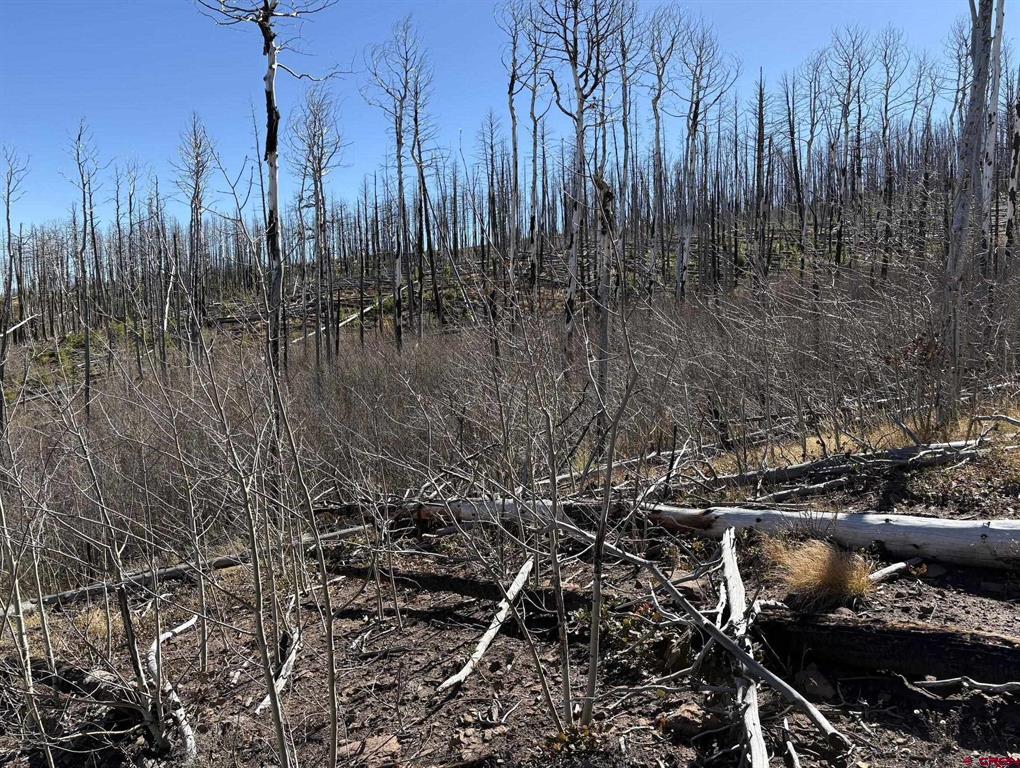 842 Slaoui Place Property Photo 4