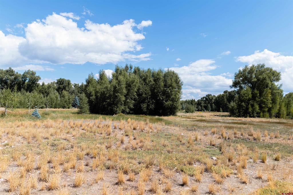 199 Kokanee Court Property Photo 4