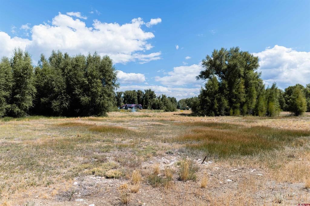 199 Kokanee Court Property Photo 5