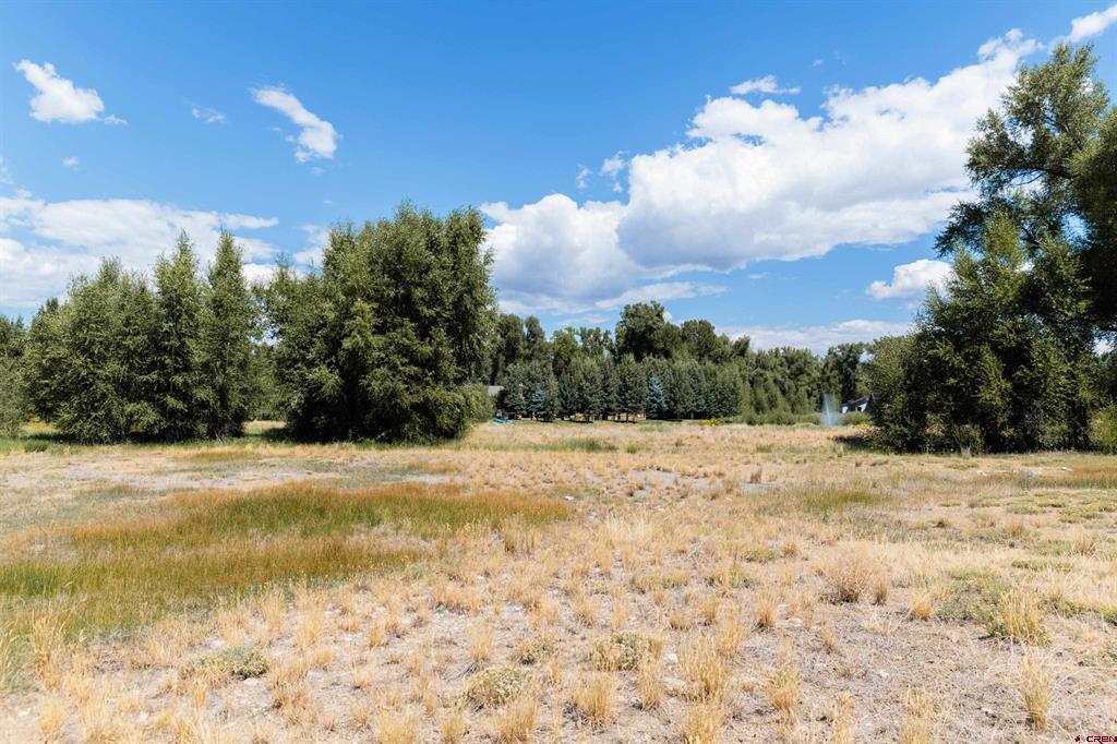 199 Kokanee Court Property Photo 6