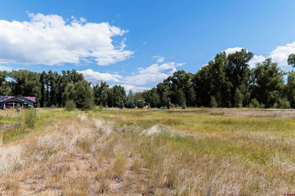 199 Kokanee Court Property Photo 8