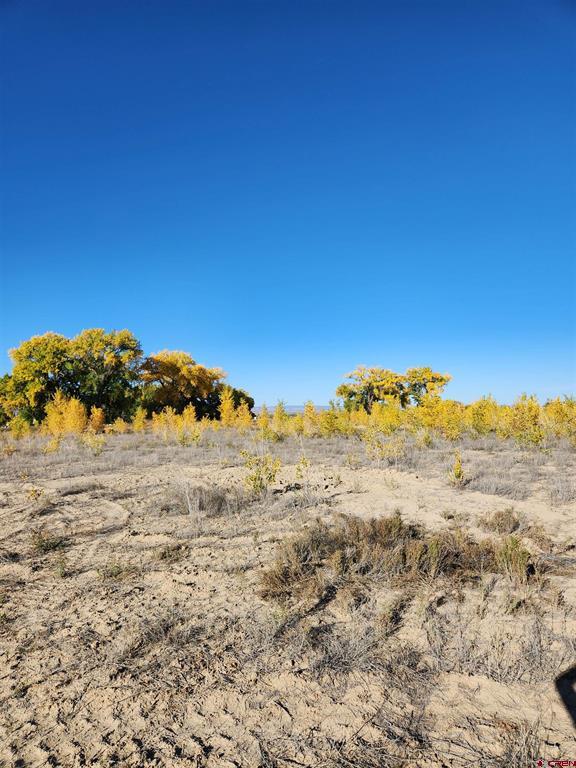 Lot 2 Peach Valley Road Property Photo 4