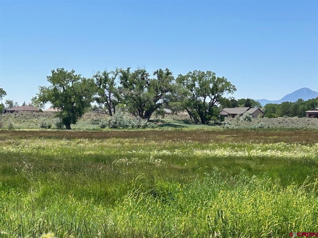 Tbd Road 29 Property Photo 1