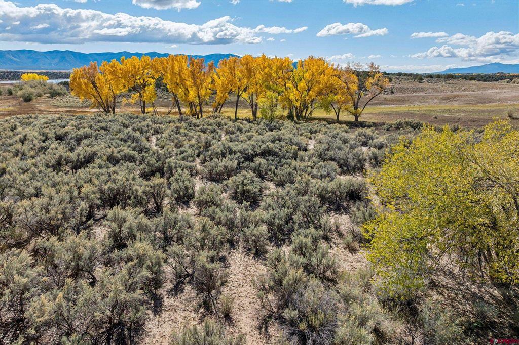 Tbd Road 29 Property Photo 18