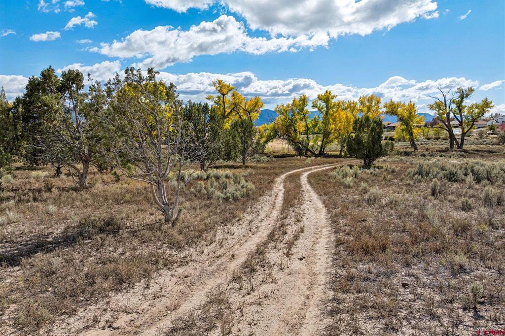 Tbd Road 29 Property Photo 20