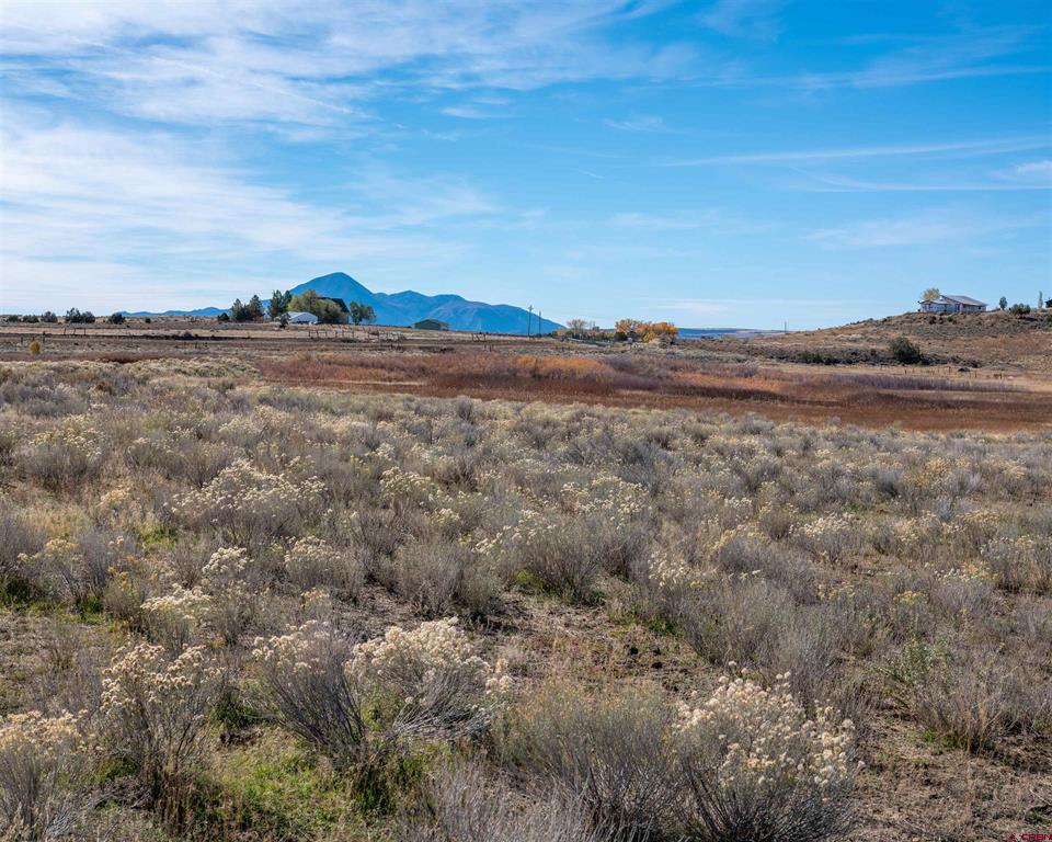 Tbd Highway 184 Property Photo 14