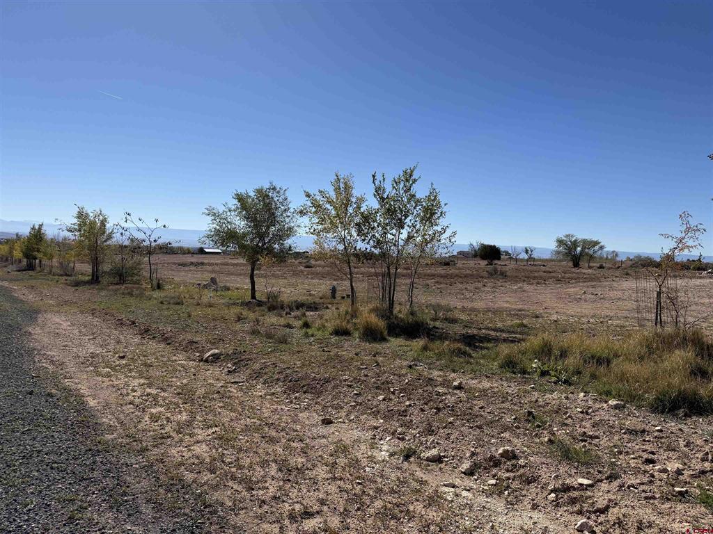 Tbd Lot 7 Stardust Lane Property Photo 1