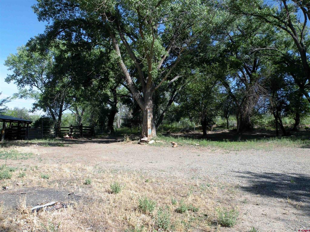 27793 Bb Road Property Photo 5