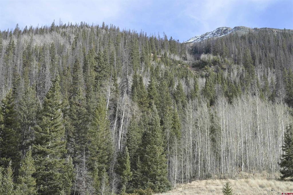 Tbd Cr 2 Lupus Property Photo 1