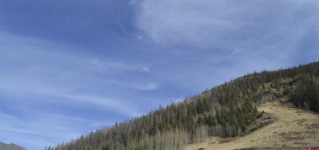 Tbd Cr 2 Lupus Property Photo 2