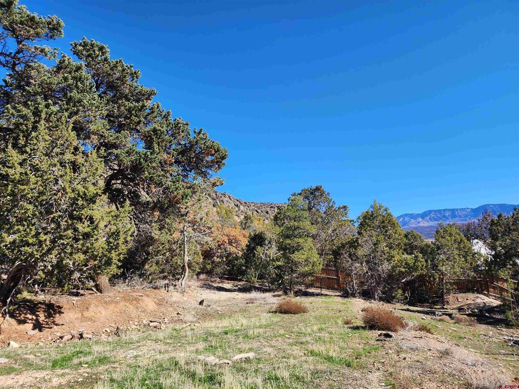 242 Fir Avenue Property Photo 8