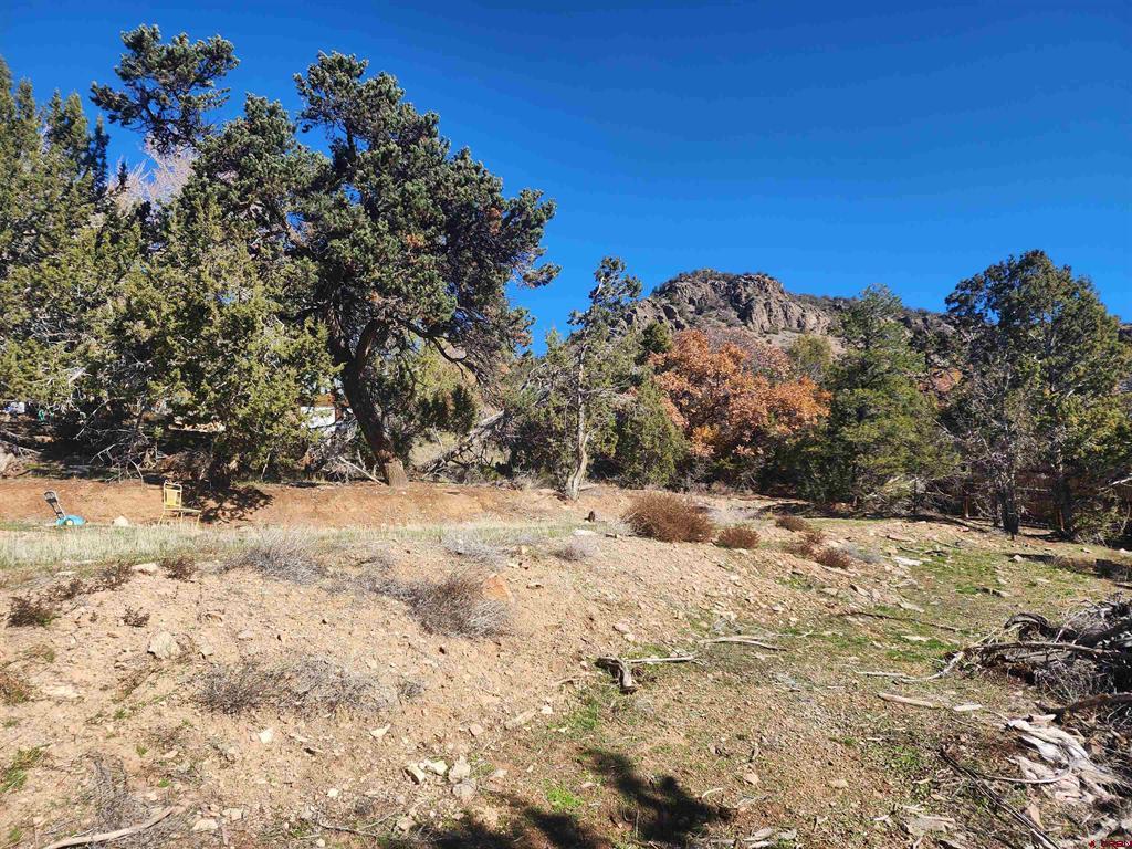 242 Fir Avenue Property Photo 10