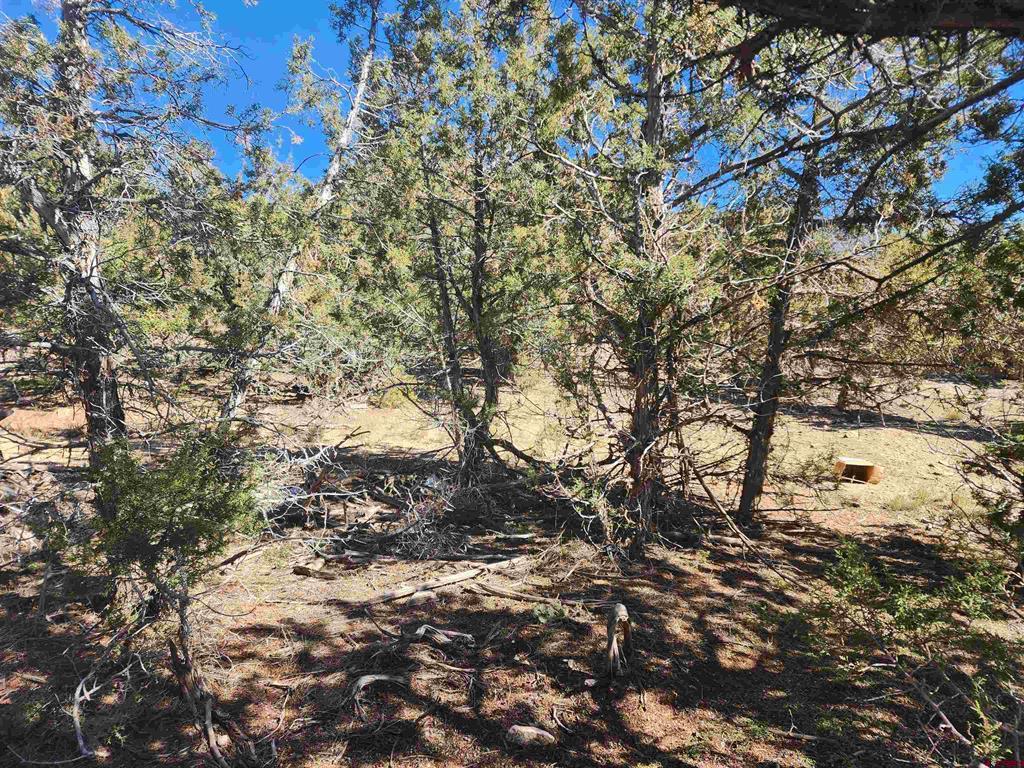 242 Fir Avenue Property Photo 11