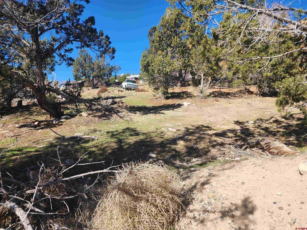 242 Fir Avenue Property Photo 13