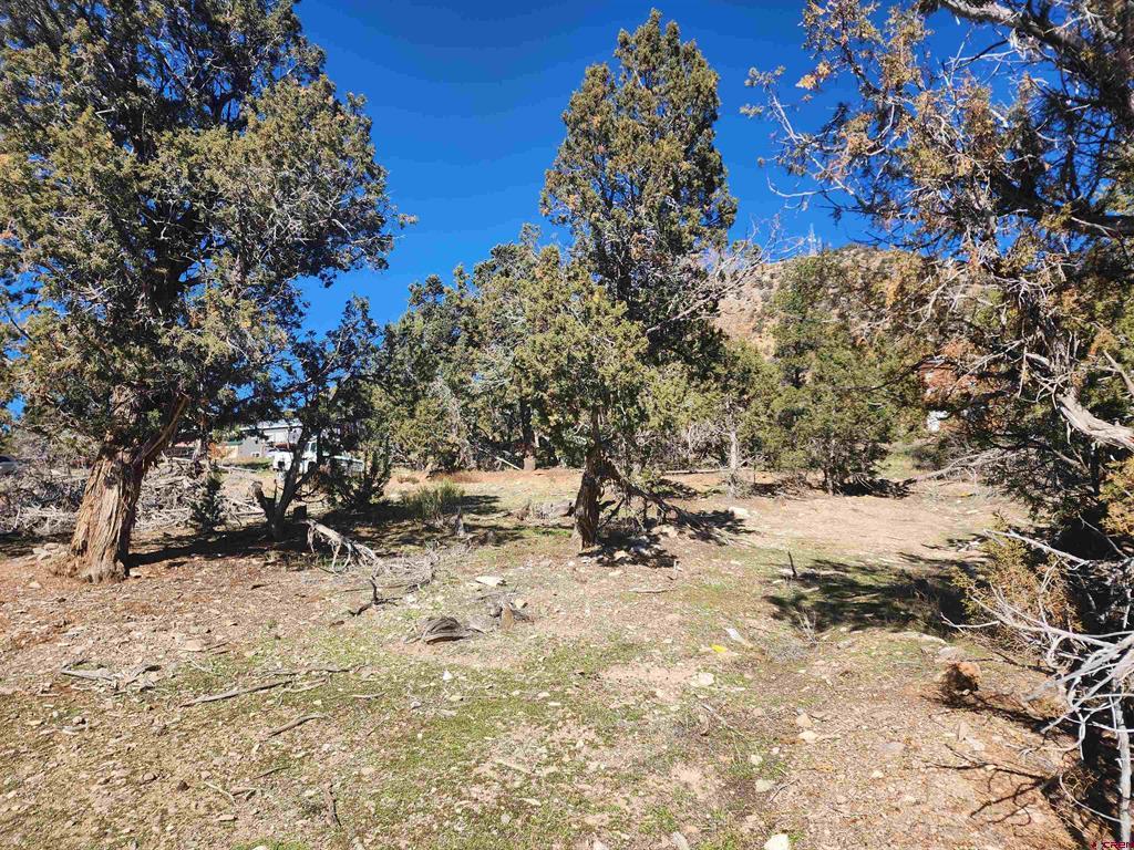 242 Fir Avenue Property Photo 14