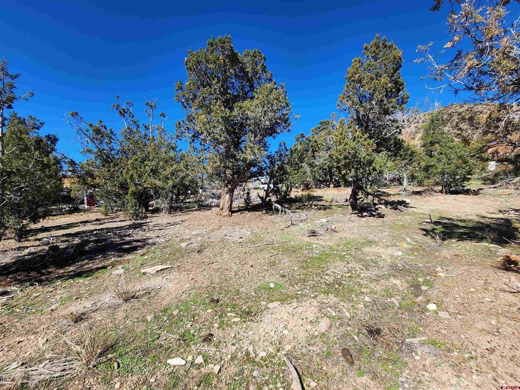 242 Fir Avenue Property Photo 15