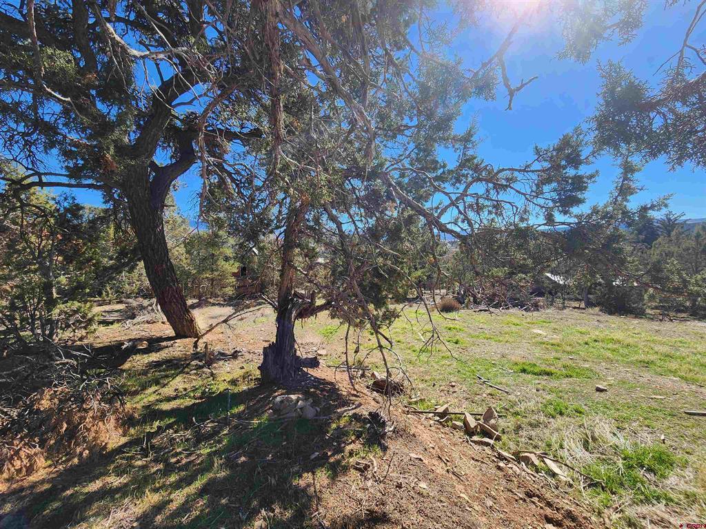 242 Fir Avenue Property Photo 17