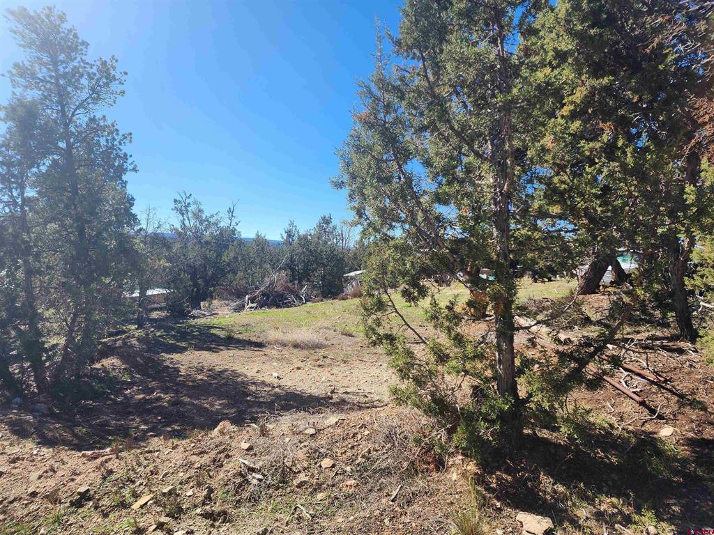 242 Fir Avenue Property Photo 19