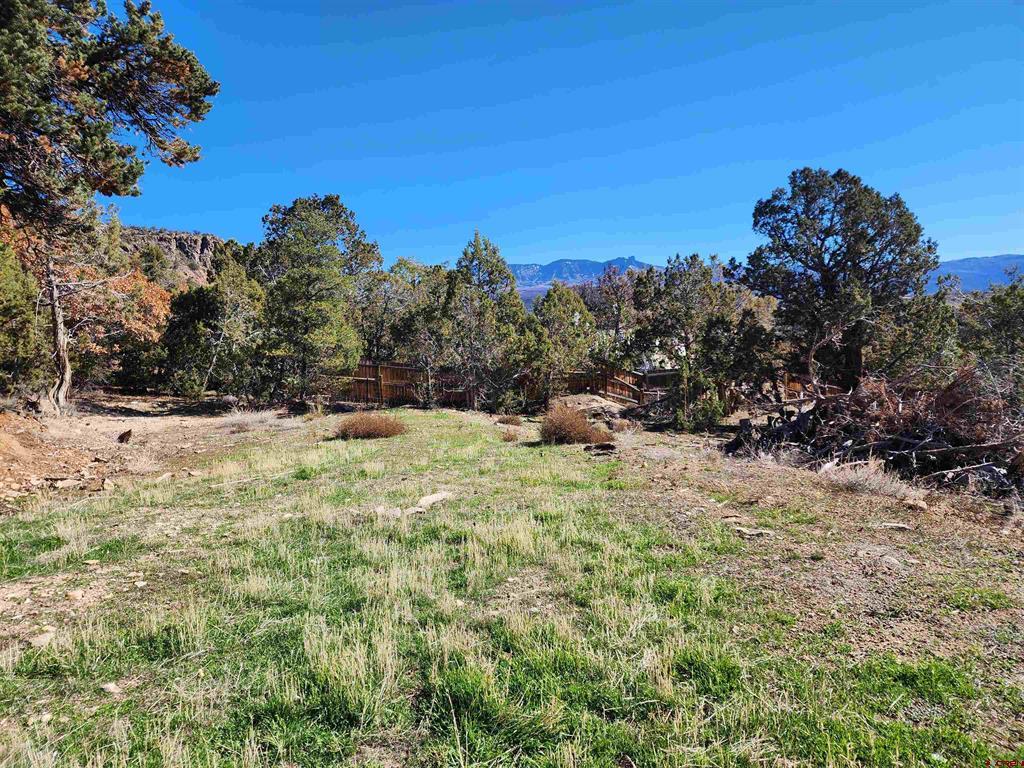 242 Fir Avenue Property Photo 33