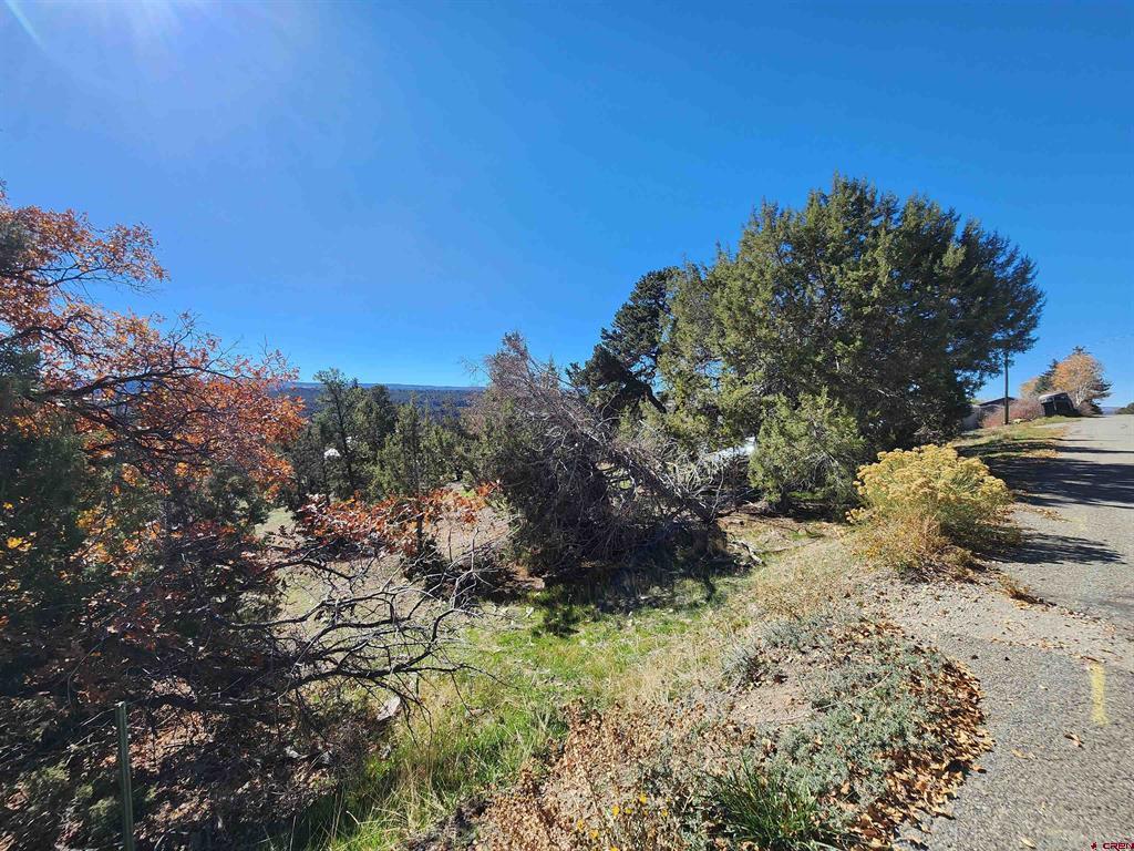 242 Fir Avenue Property Photo 34