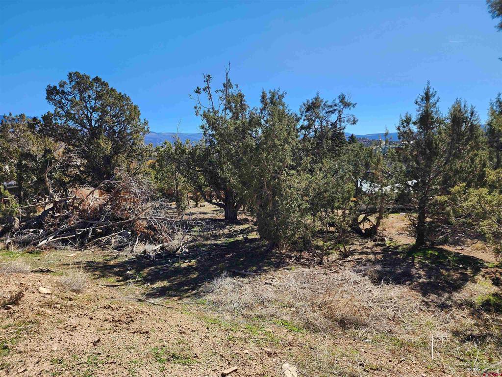 242 Fir Avenue Property Photo 37
