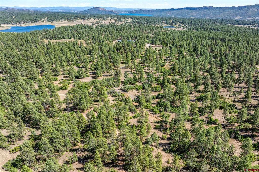 Tbd Vaquero Way Property Photo 4