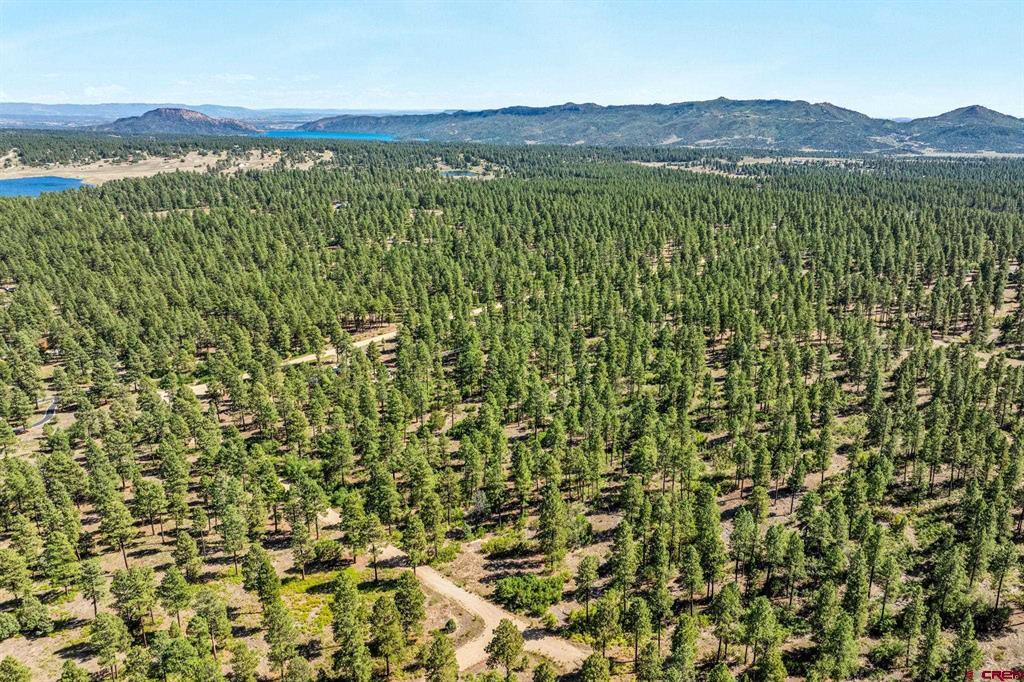 Tbd Vaquero Way Property Photo 6