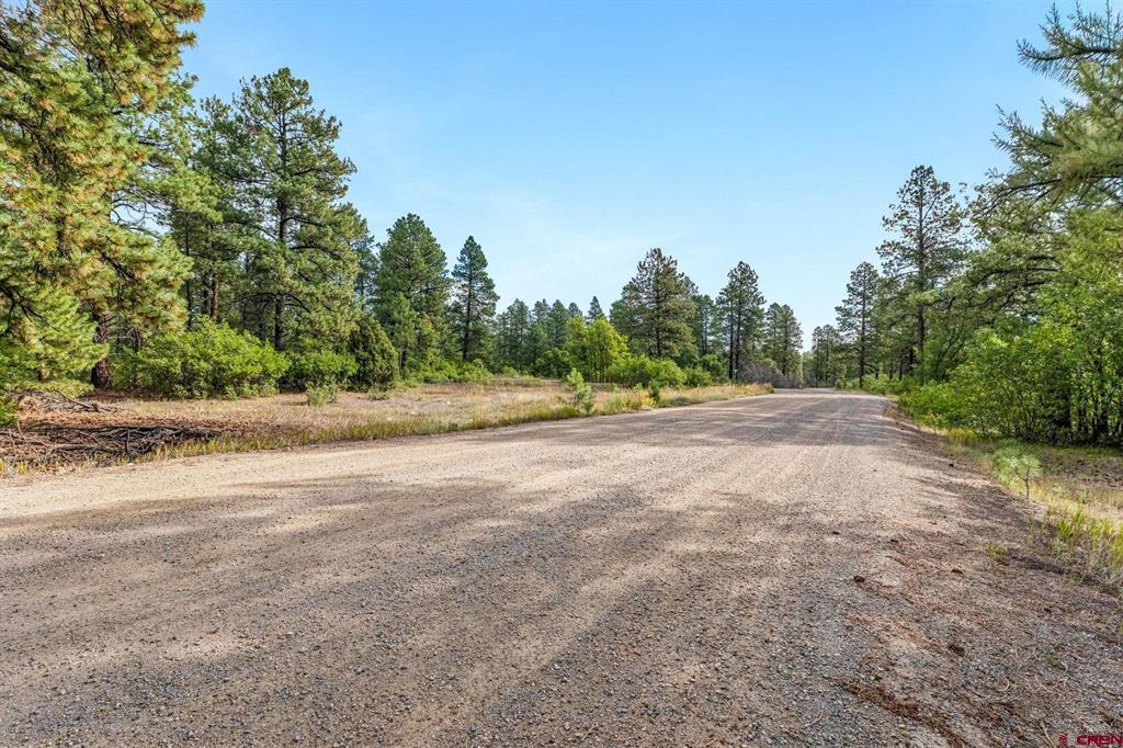 Tbd Vaquero Way Property Photo 11
