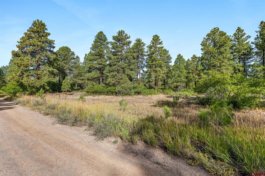 Tbd Vaquero Way Property Photo 13