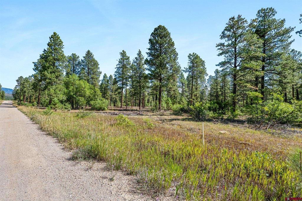 Tbd Vaquero Way Property Photo 17
