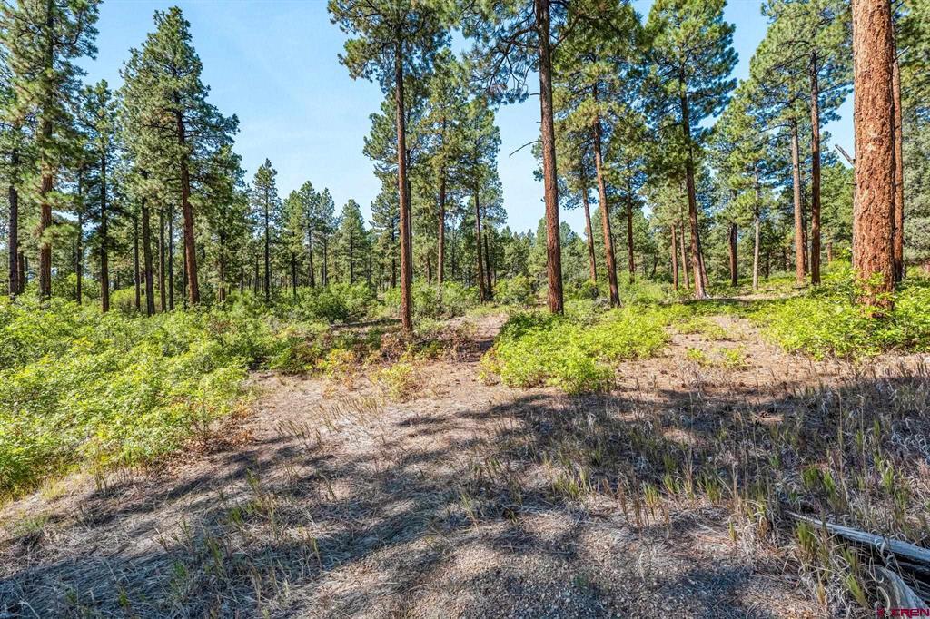 Tbd Vaquero Way Property Photo 18